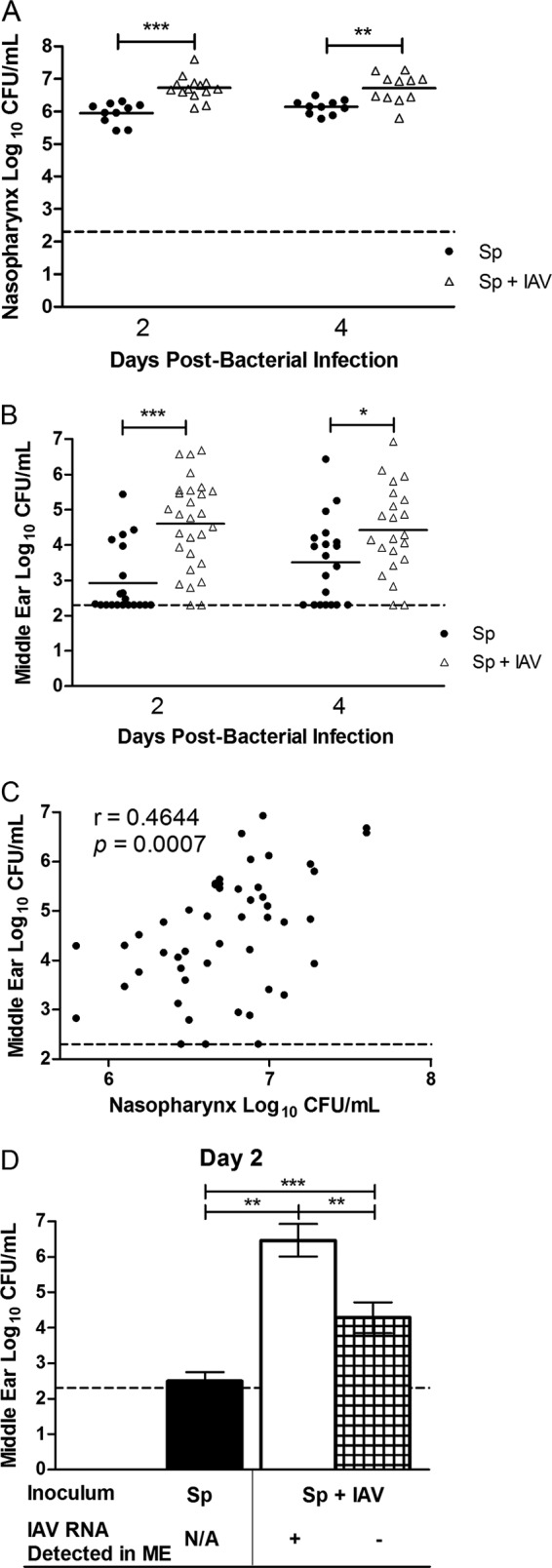 FIG 1