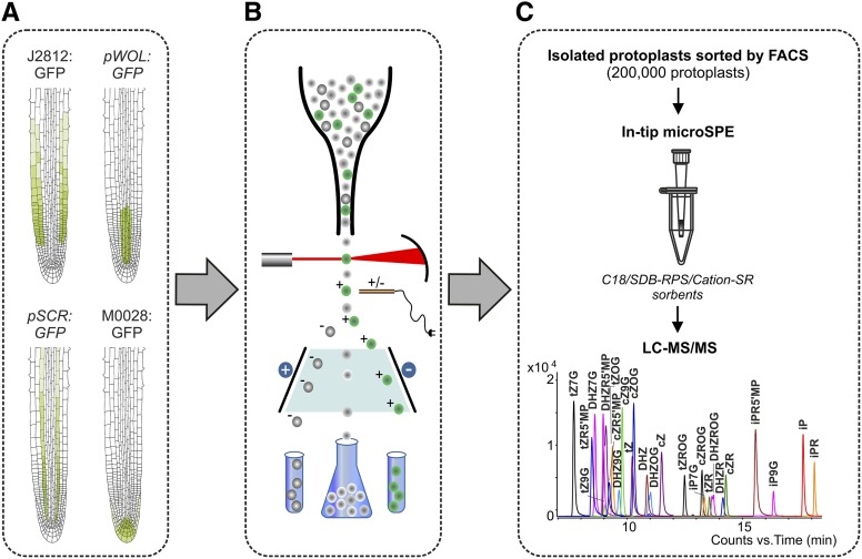 Figure 3.