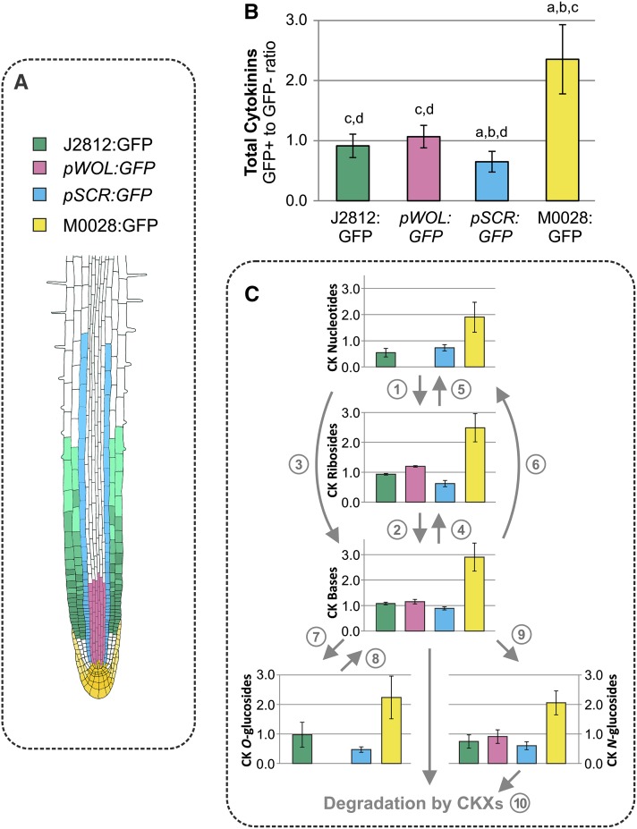 Figure 4.