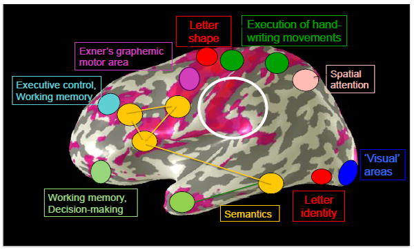 Figure 7