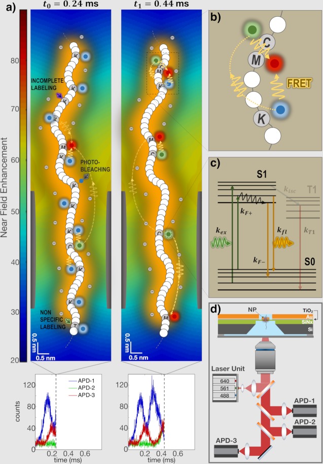 Fig 2