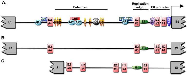 Fig. (1)