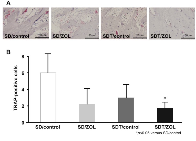 Fig 6