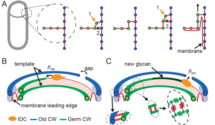 Figure 3.