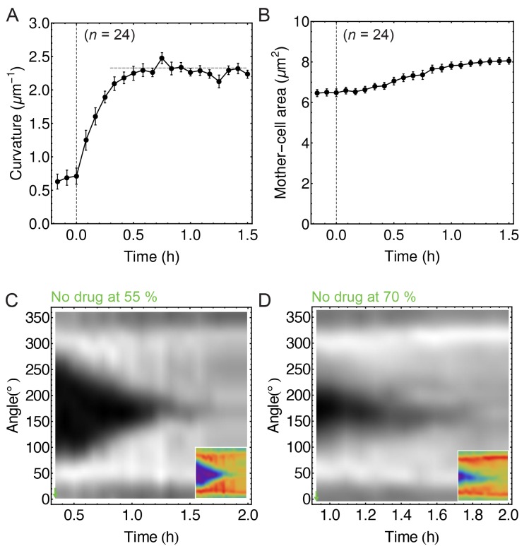 Figure 1—figure supplement 3.