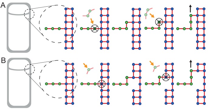 Figure 3—figure supplement 1.