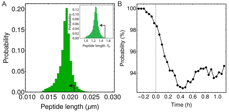 Figure 4—figure supplement 2.