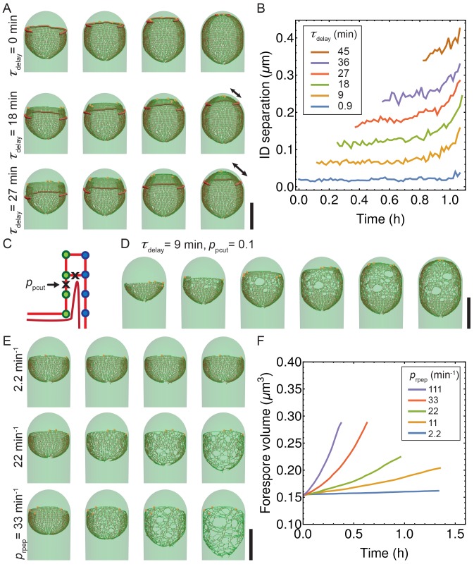 Figure 4—figure supplement 5.