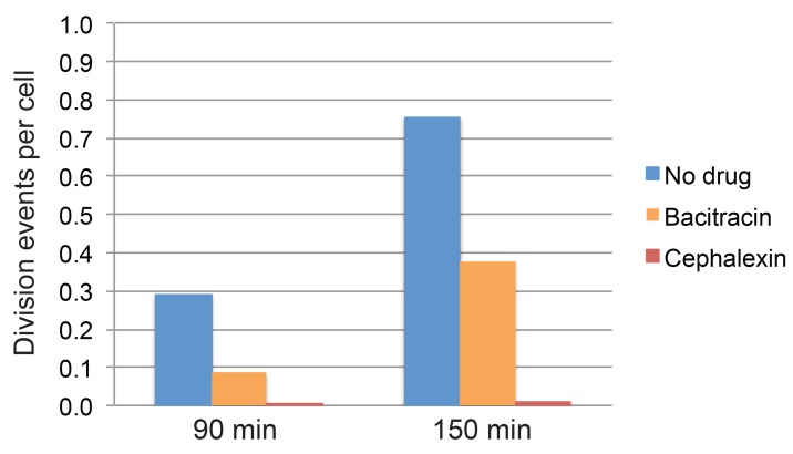 Figure 1—figure supplement 2.