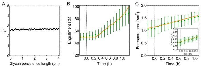 Figure 4—figure supplement 3.