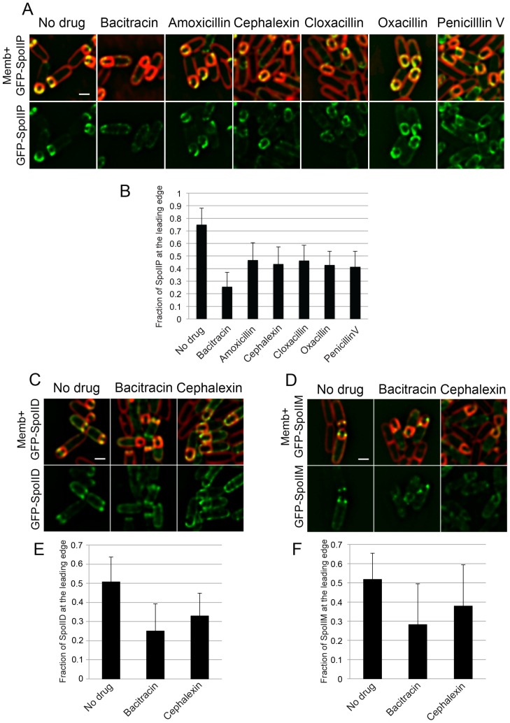 Figure 2—figure supplement 3.