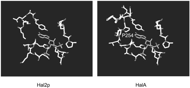 FIG. 6.