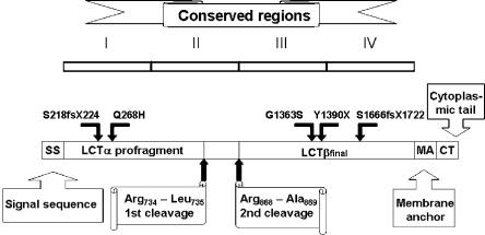 Figure  4