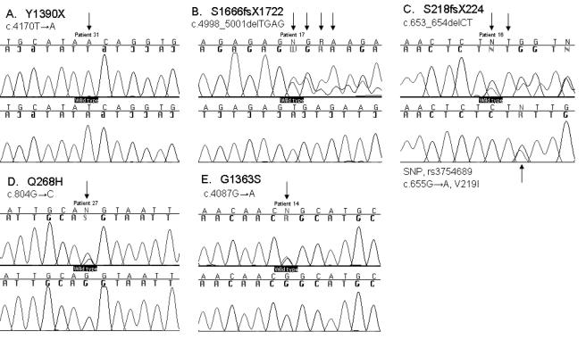 Figure  3