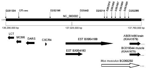 Figure  2