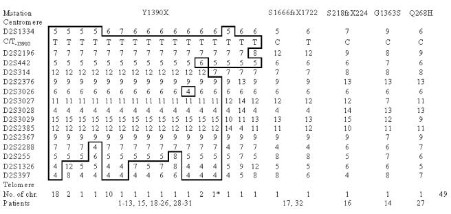 Figure  1