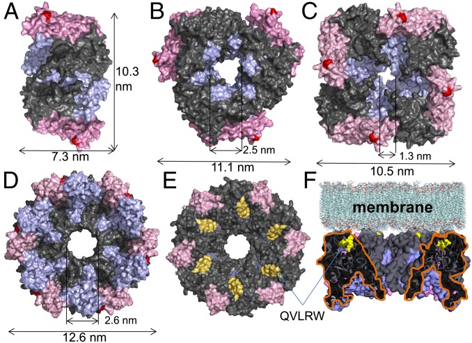 Fig. 2.