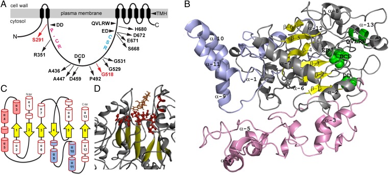 Fig. 1.