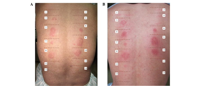 Figure 3.