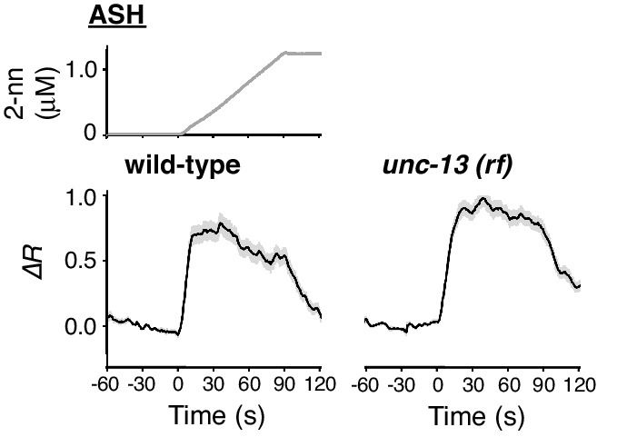 Figure 7—figure supplement 1.