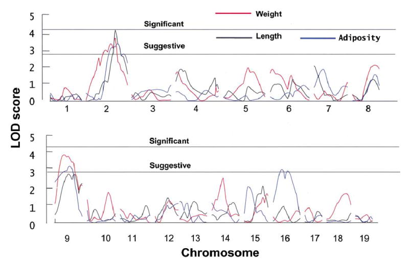 Fig. 3