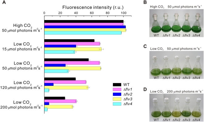 Figure 5