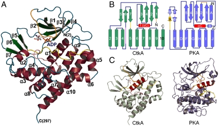 Fig. 1.