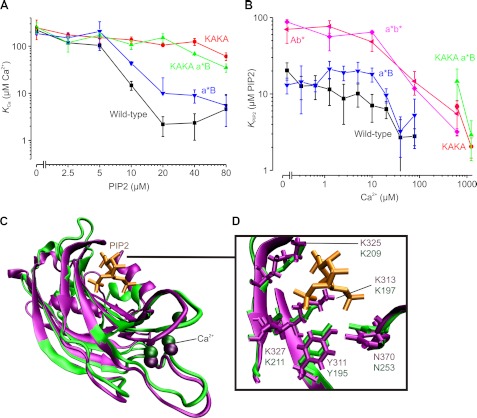 FIGURE 4.