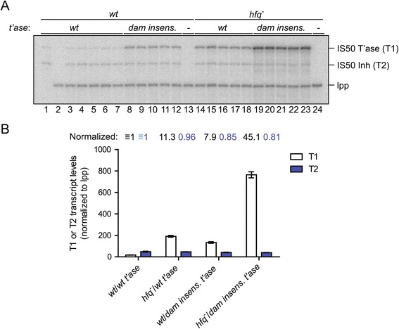 Figure 5