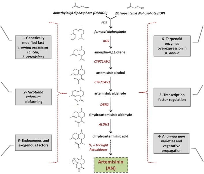 FIGURE 3