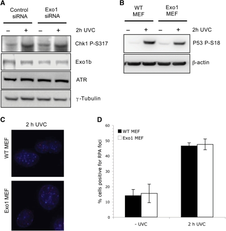 Figure 4.