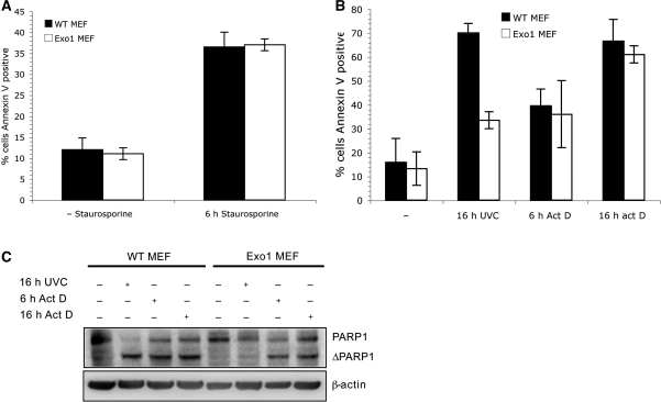 Figure 3.