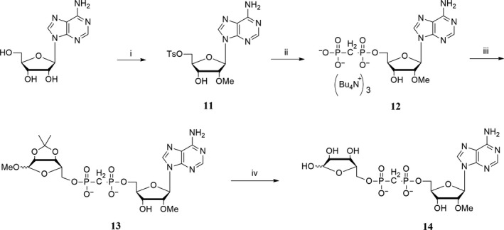 Scheme 3