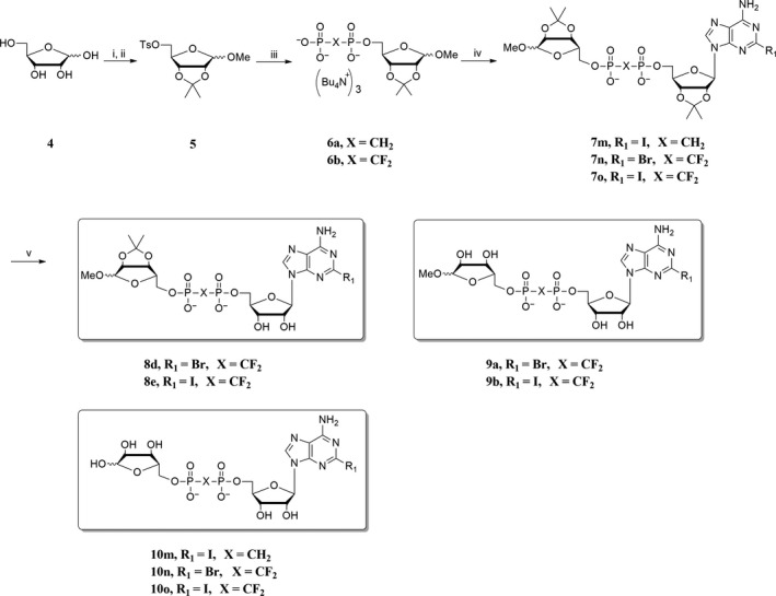 Scheme 2