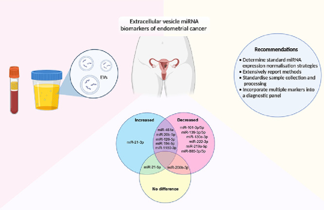 Image, graphical abstract