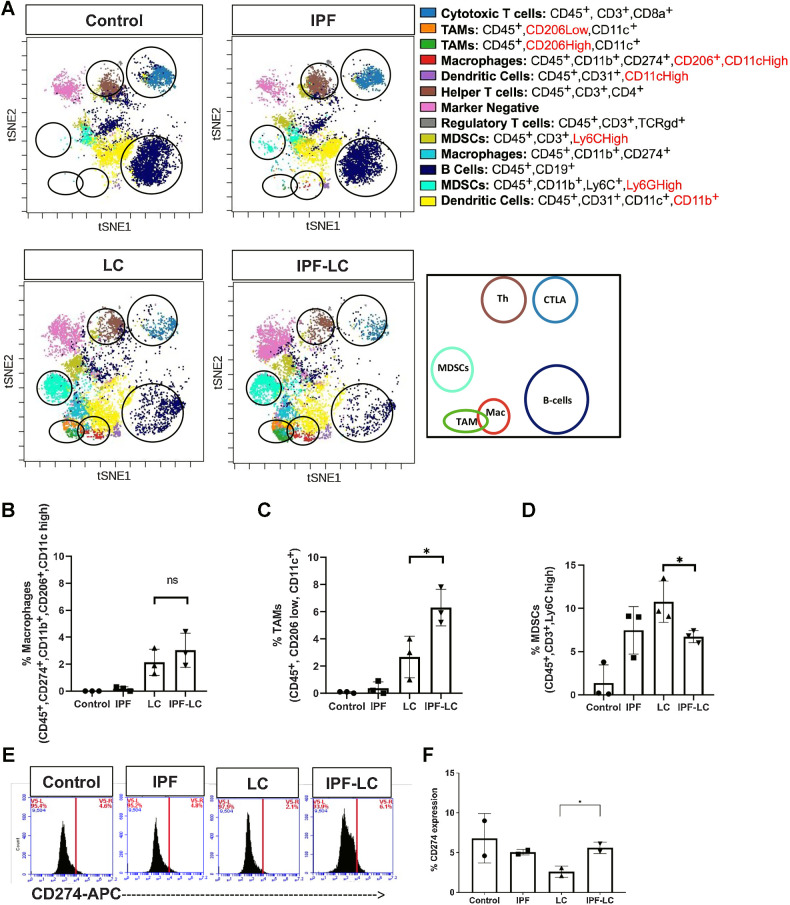 Figure 3. Increased TAMs and CD274 expression in IPF-LC. A, CyTOF of 3 lungs per experimental group was performed at study endpoint (5 weeks post initial bleomycin injection). Representative tSNE plots of CyTOF analysis with specific immune cell clusters depicted and circled in corresponding colors. B–D, Quantification of abundance of cell-specific expression markers for macrophages (CD45+, CD274+, CD11b+, CD206+, CD11c high), TAMs (CD45+, CD206 low, CD11c+), and MDSCs (CD45+, CD3+, Ly6C high), using FlowSOM-viSNE. Data ±SEM with statistical analysis using one-way ANOVA with post hoc Fisher least significant difference (LSD) Test (*, P ≤ 0.05; ns, no statistical difference). E and F, Flow cytometry of lung tissue obtained from 2 mice per group at endpoint stained for CD274 marker expression using anti-CD274-APC. Statistical significance was determined using one-way ANOVA with post hoc Fisher LSD test (*, P ≤ 0.05).