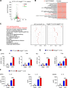 Figure 2—figure supplement 1.