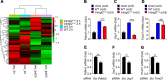 Figure 7—figure supplement 1.