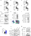 Figure 3—figure supplement 1.