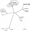 FIG. 1.
