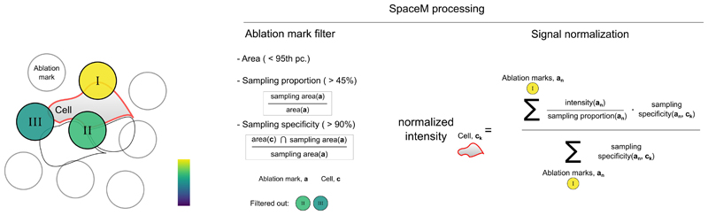 Extended Data Fig. 4