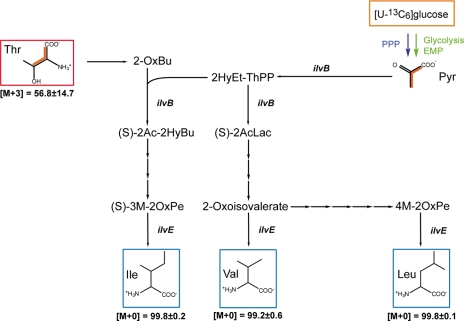 FIGURE 4.