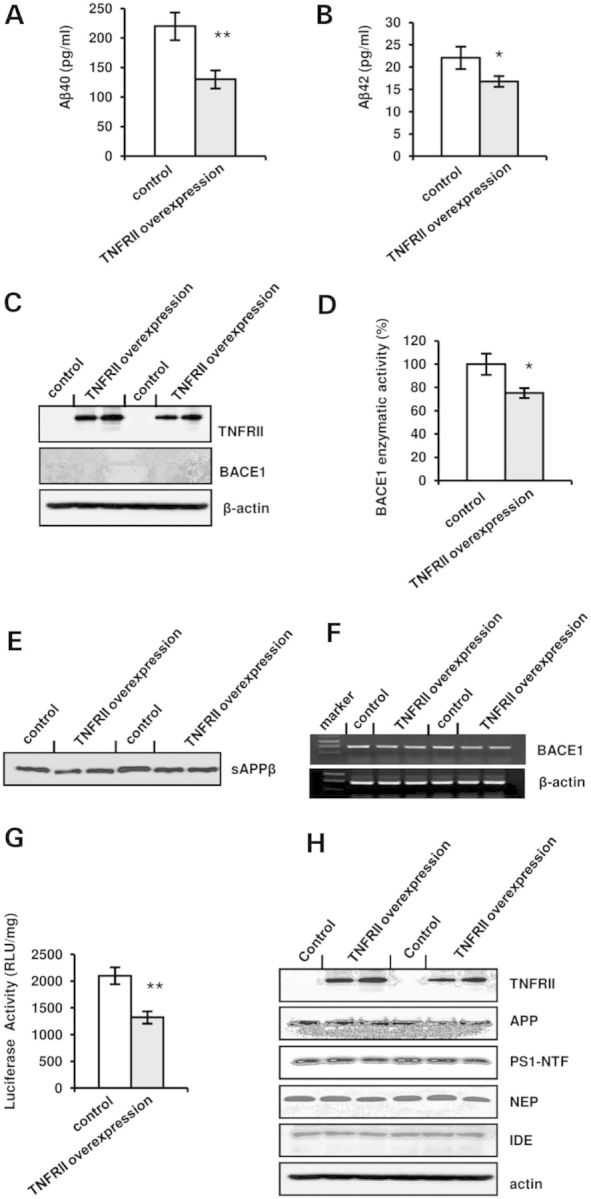 Figure 5.