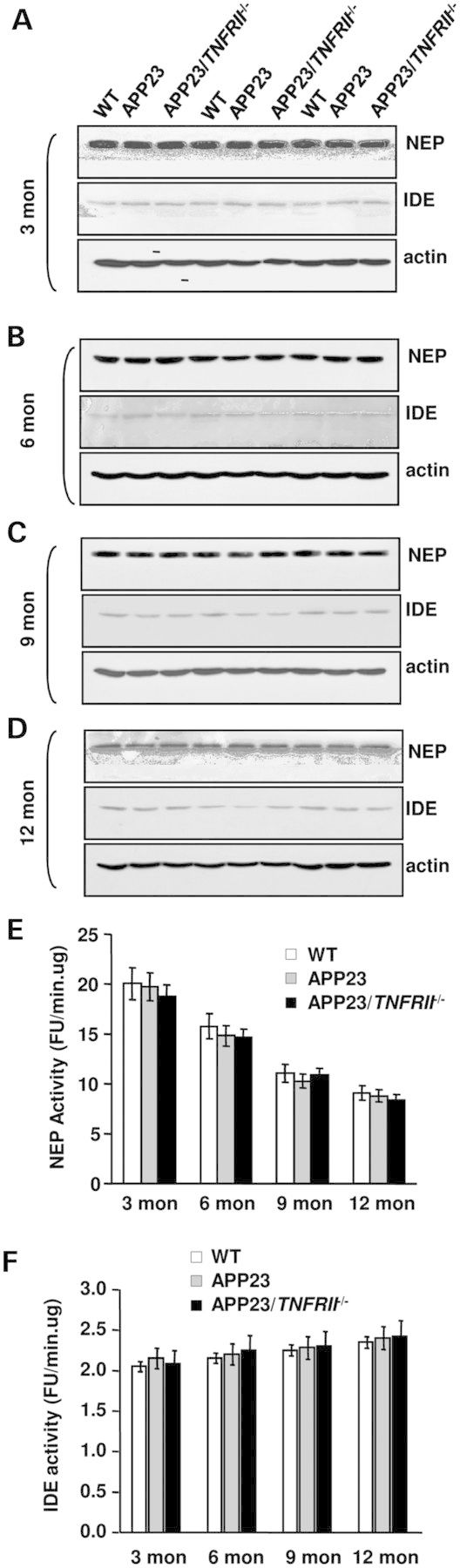 Figure 4.