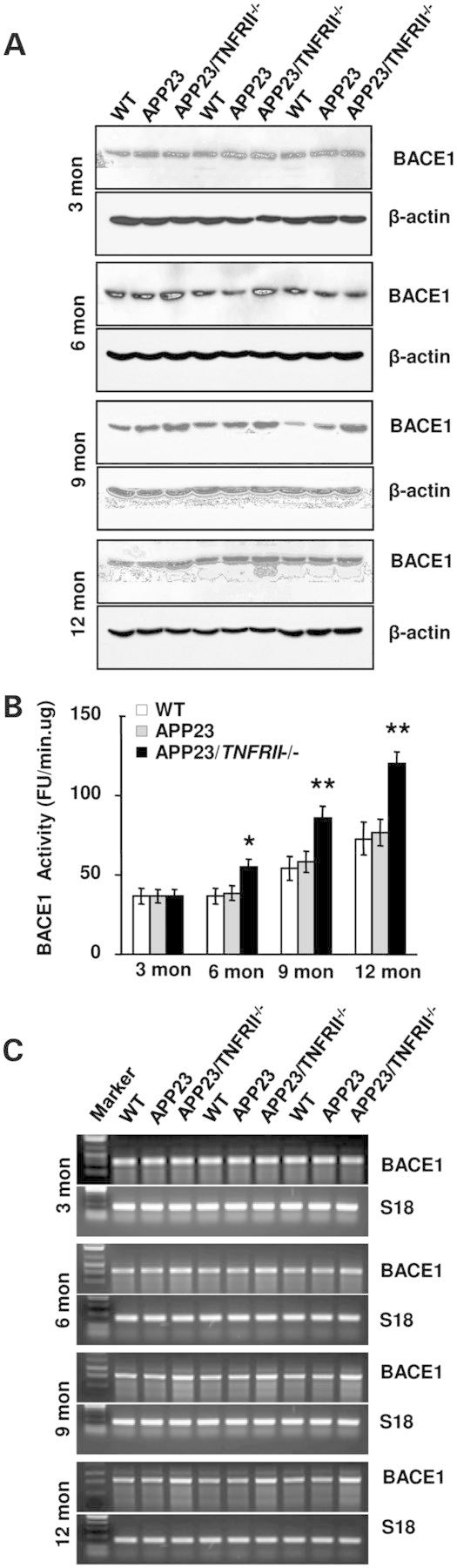 Figure 3.