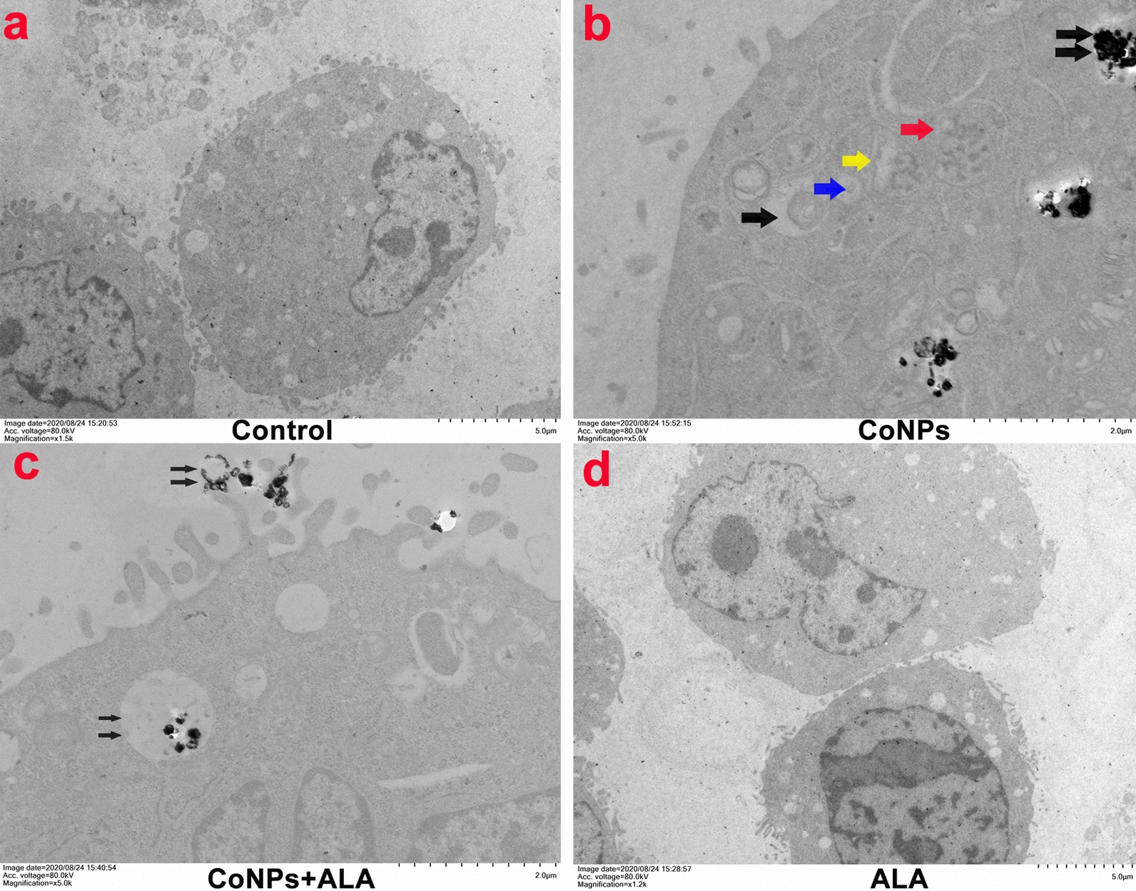 Fig. 7