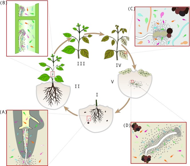 Figure 2.