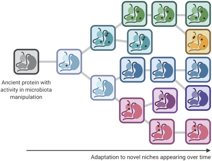 Figure 3.