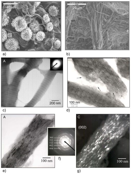 Figure 54