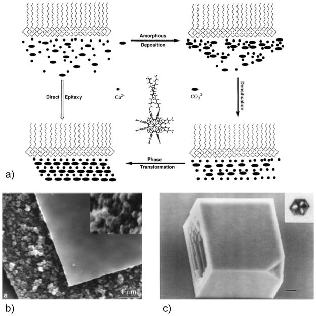 Figure 20